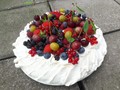 Dort Pavlova