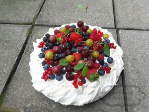 Dort Pavlova Obrázek 2